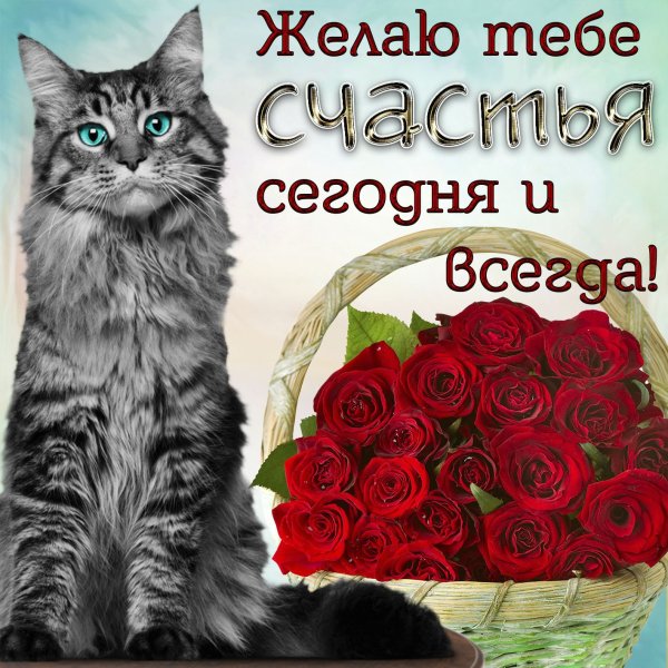 Желаем счастья