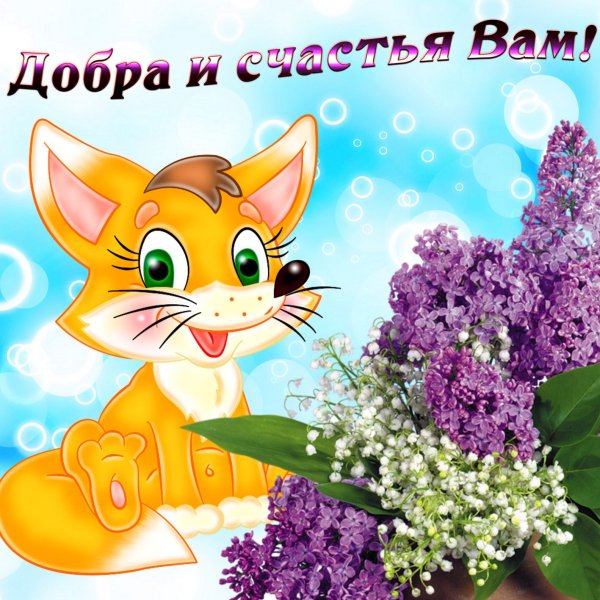 Пожелания счастья