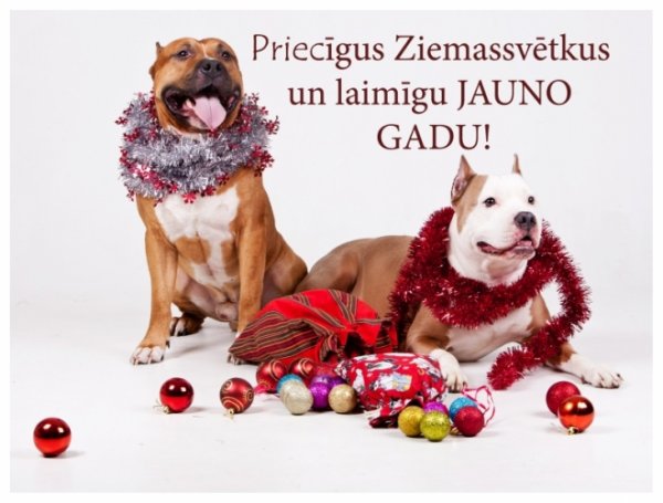 Priecigus Ziemassvetkus открытки