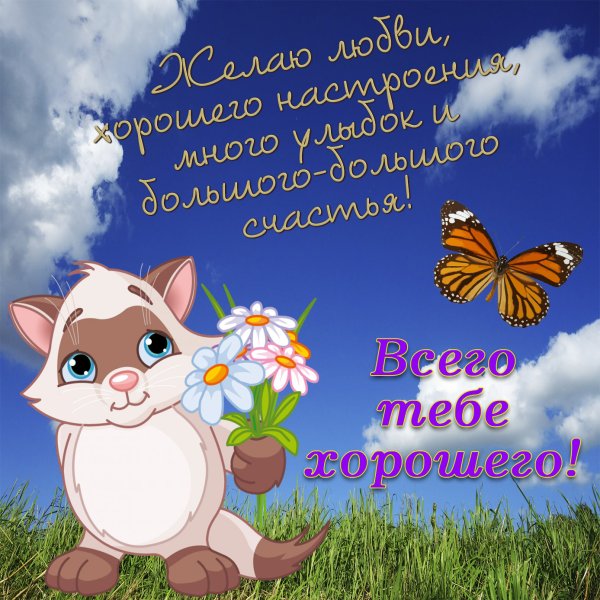 Поздравление с добрым днем