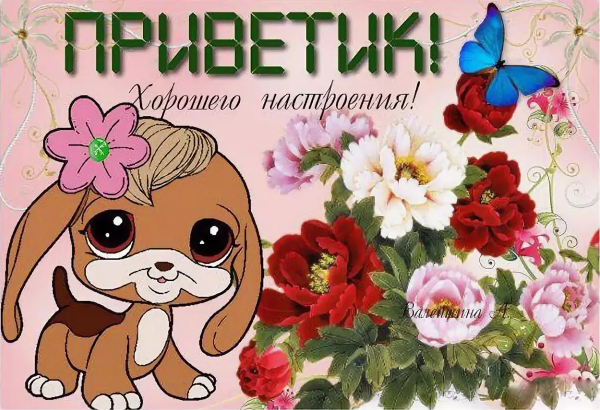 Открытки привет