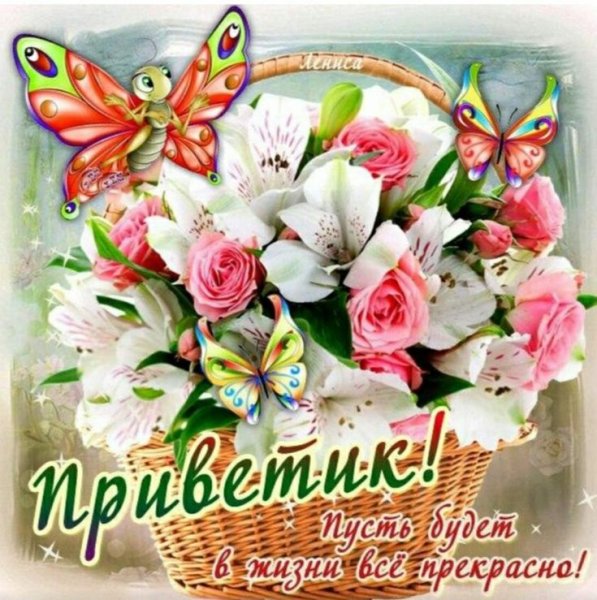Открытки привет