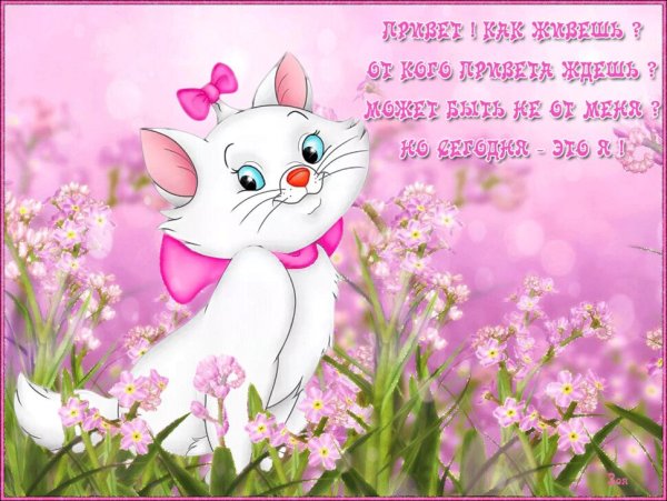 Привет картинки