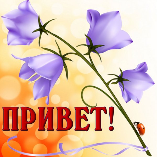 Открытки привет