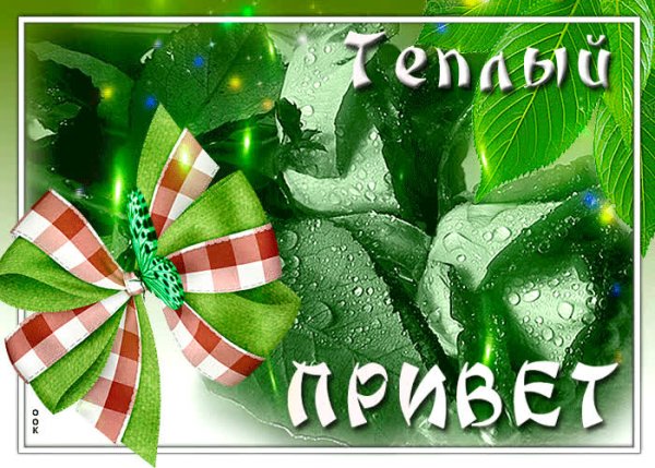 Открытки привет