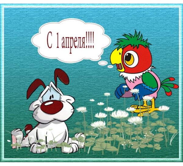 С днем рождения прикол