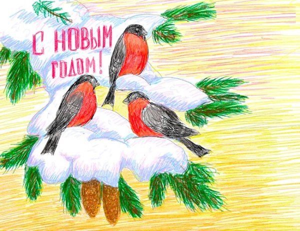 Снегирь рисунок карандашом