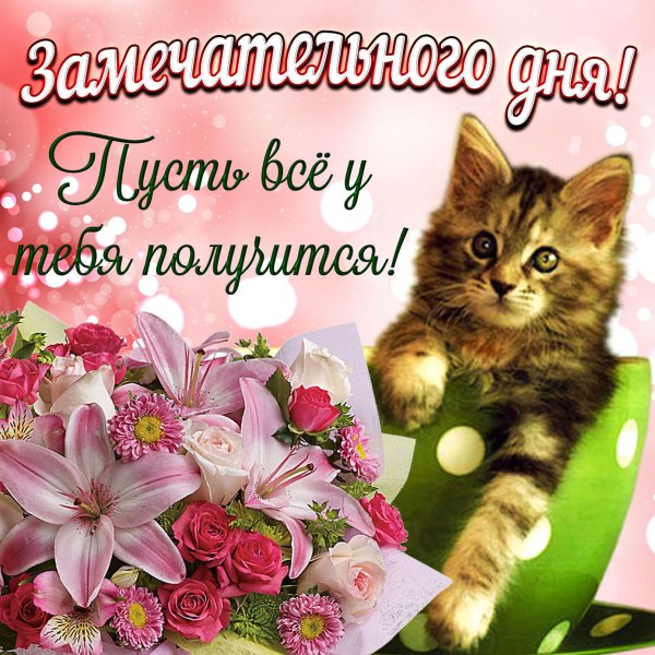 Открытка прекрасный день