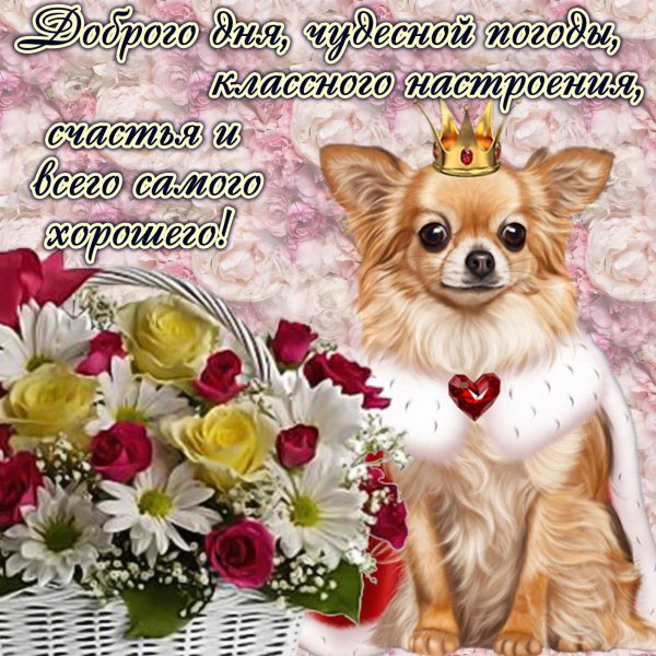 Пожелания накаждыц день