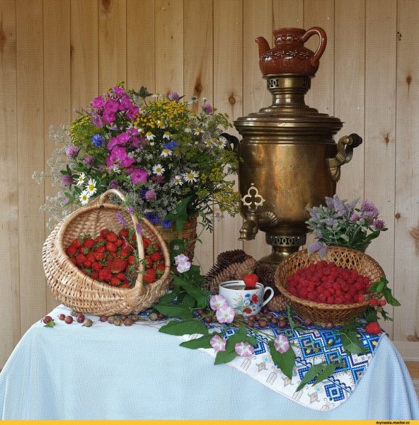 Ирина Родина фотограф Омск