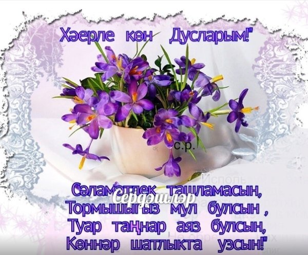 Красивые добрые стихи на татарском языке