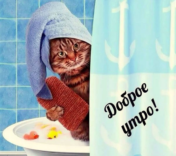 Пожелания доброго утра прикольные