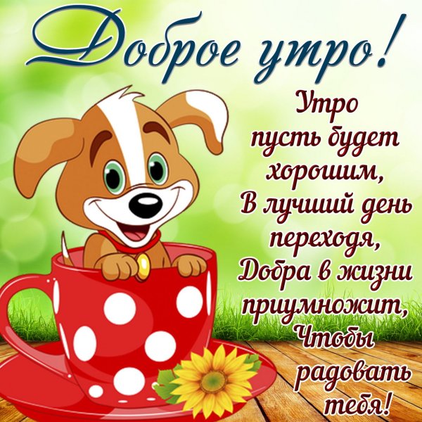 С добрым утречком