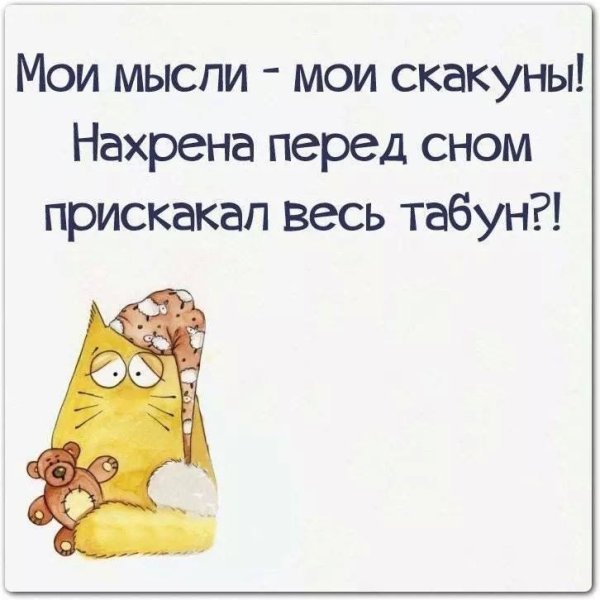 Смешные цитаты