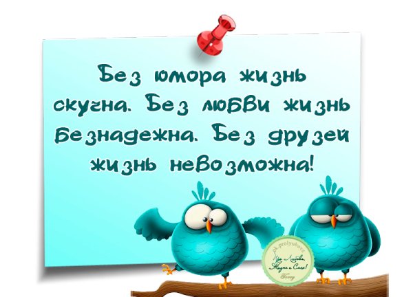 Приколы про жизнь