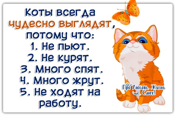 Цитаты со смыслом прикольные