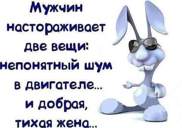 Смешные картинки со словами