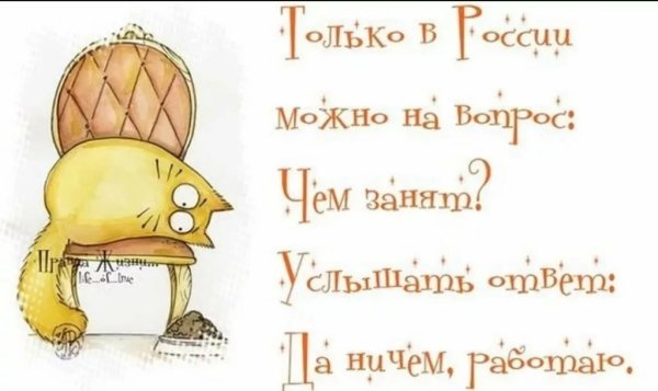 Прикольные высказывания в картинках