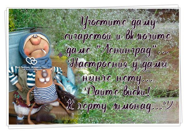 Прикольные картинки про жизнь