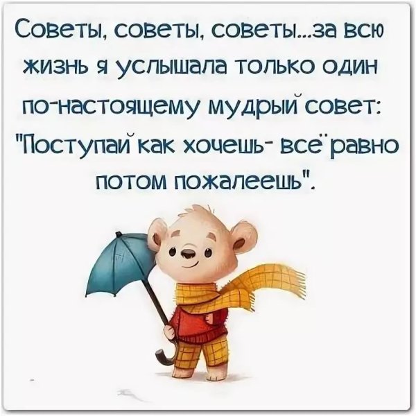 Прикольные фразы про жизнь