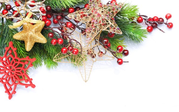 Новогодняя ветка на белом фоне