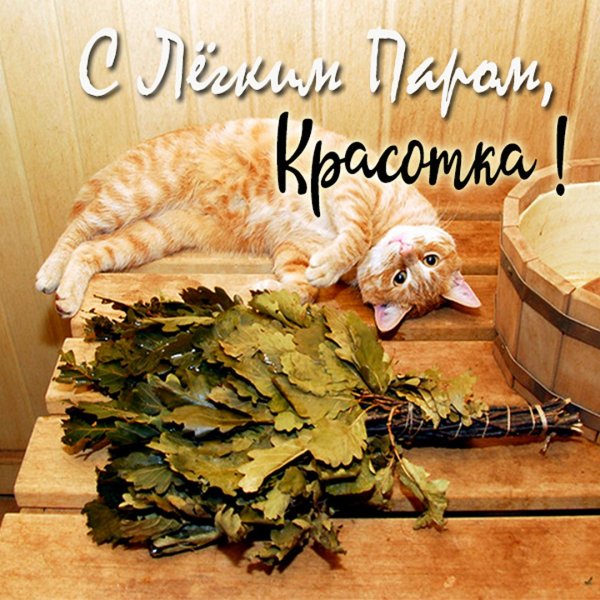 Открытки с легким паром