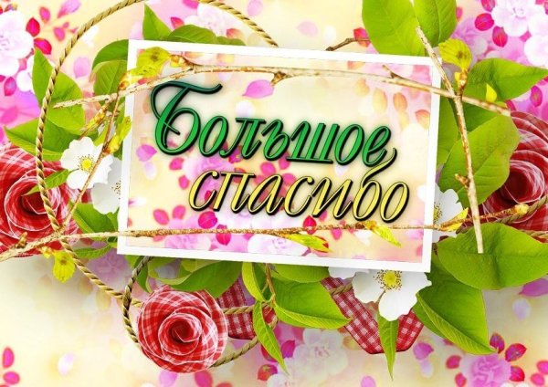 Открытки спасибочки