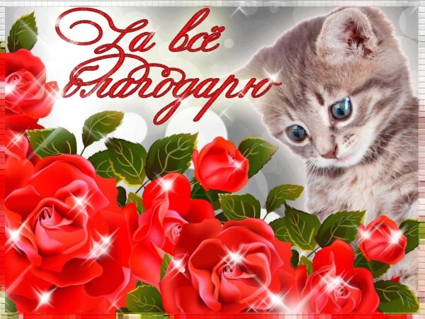 Открытки с благодарностью