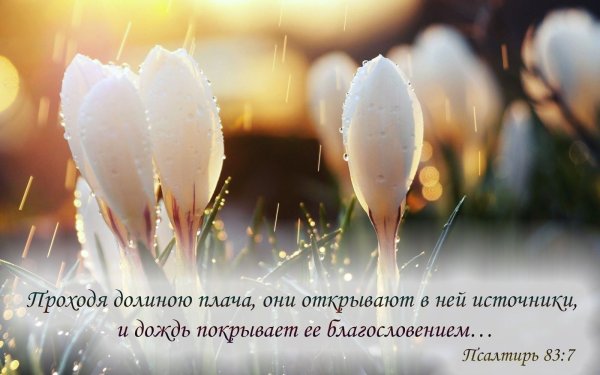 Христианские благословения