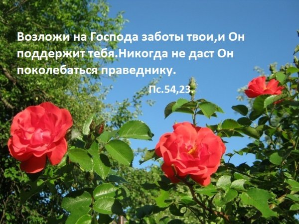 Христианские открытки с пожеланиями