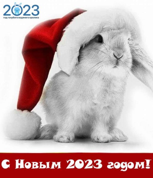 Новый год кролика открытка с поздравлением