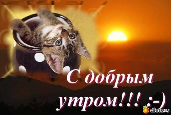Доброе утро картинки прикольные