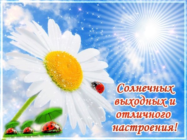 Хороших выходных и отличного настроения