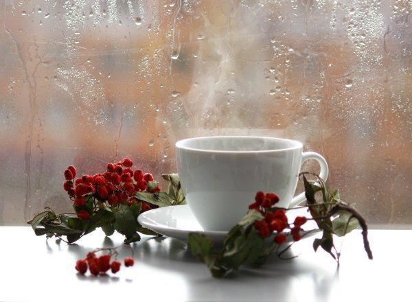 Доброе утро зимой