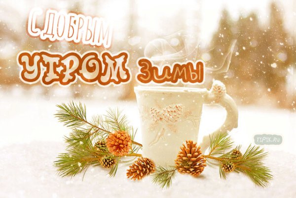 Пожелания с добрым зимним утром