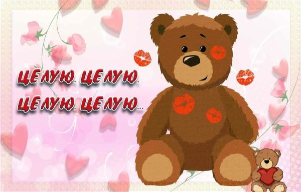 Открытка целую