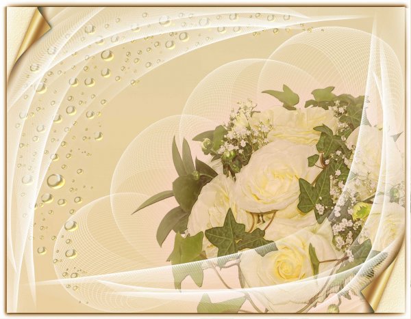 Цветы на столе вид сверху