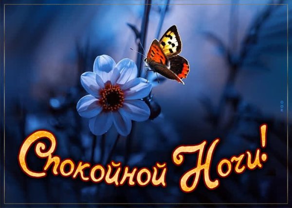 Благодарю спокойной ночи