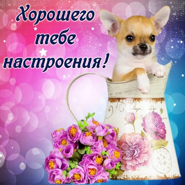 Хорошего дня и отличного настроени