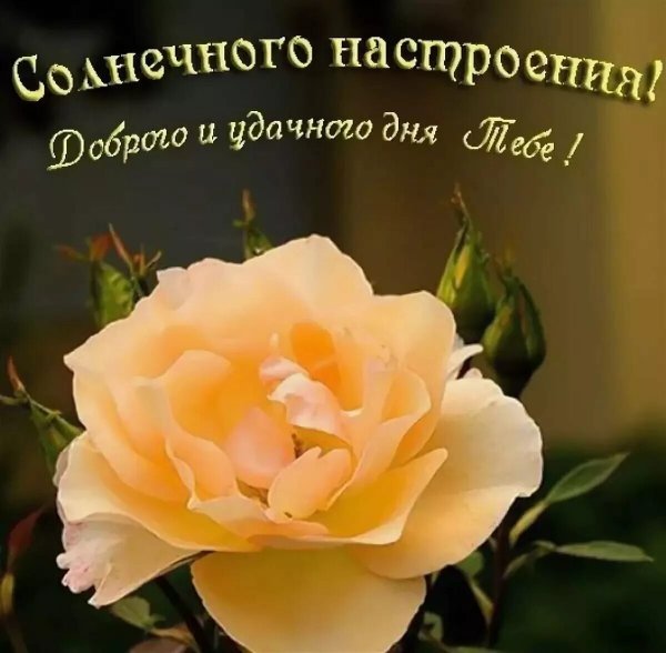 Поздравления с хорошим нас