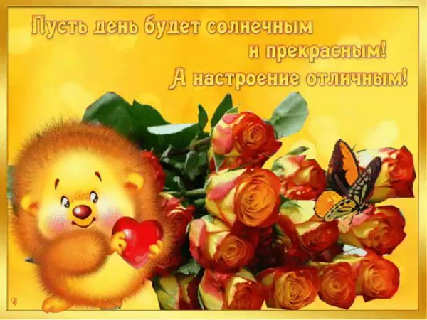 Солнечного дня и отличного настроения