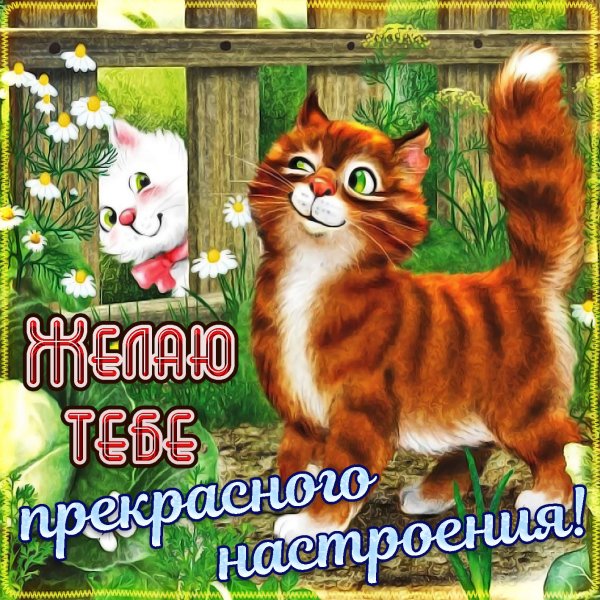 Поздравления с хорошим настроением