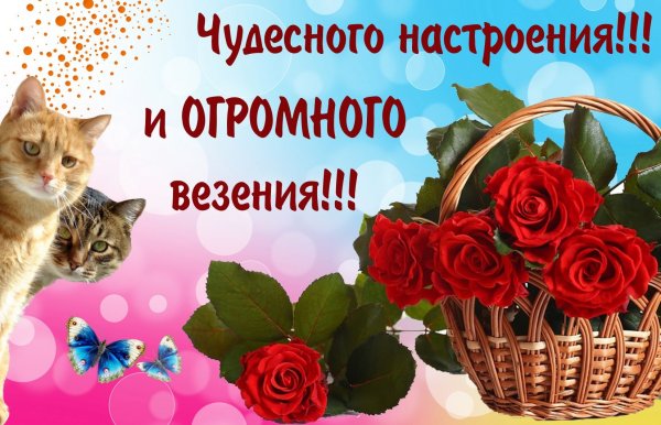 Открытка "хорошего настроения"