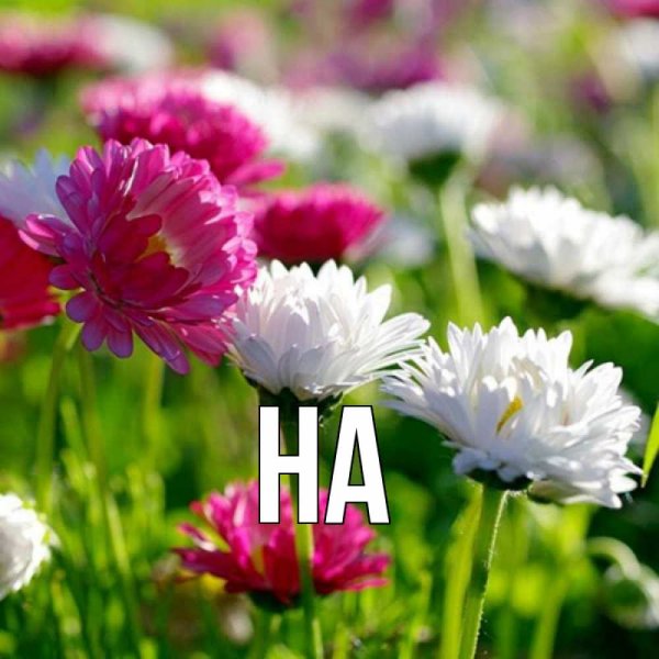 Цветы с именами