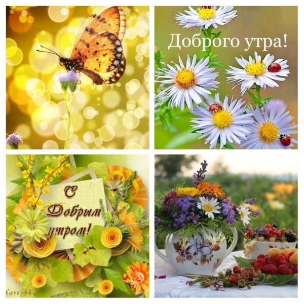 Доброе учительское утро
