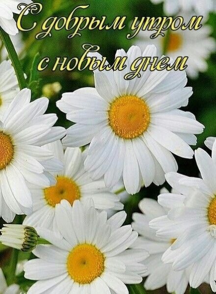 Доброе утро Наталья