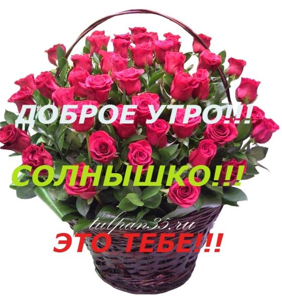 Добрый день Наташенька