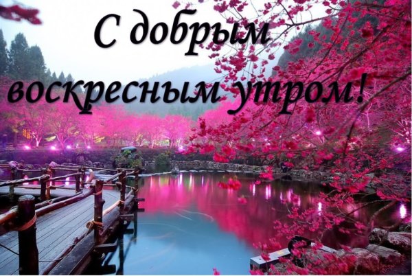 Доброготвоскресного утра