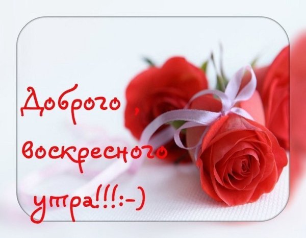 Открытки с добрым утром воскресенья