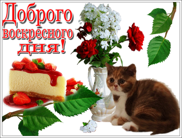 Отличного воскресенья анимация